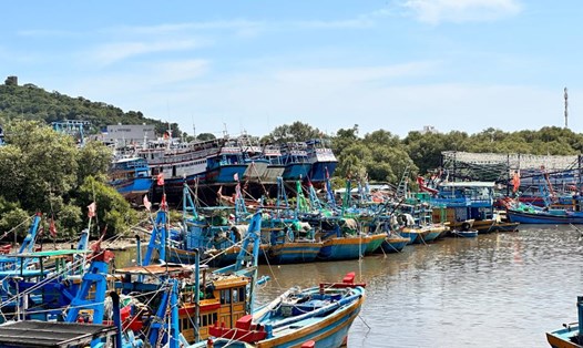 Tàu thuyền neo đậu ở sông Phú Hài và kéo lên ụ để tu sửa. Ảnh: Duy Tuấn