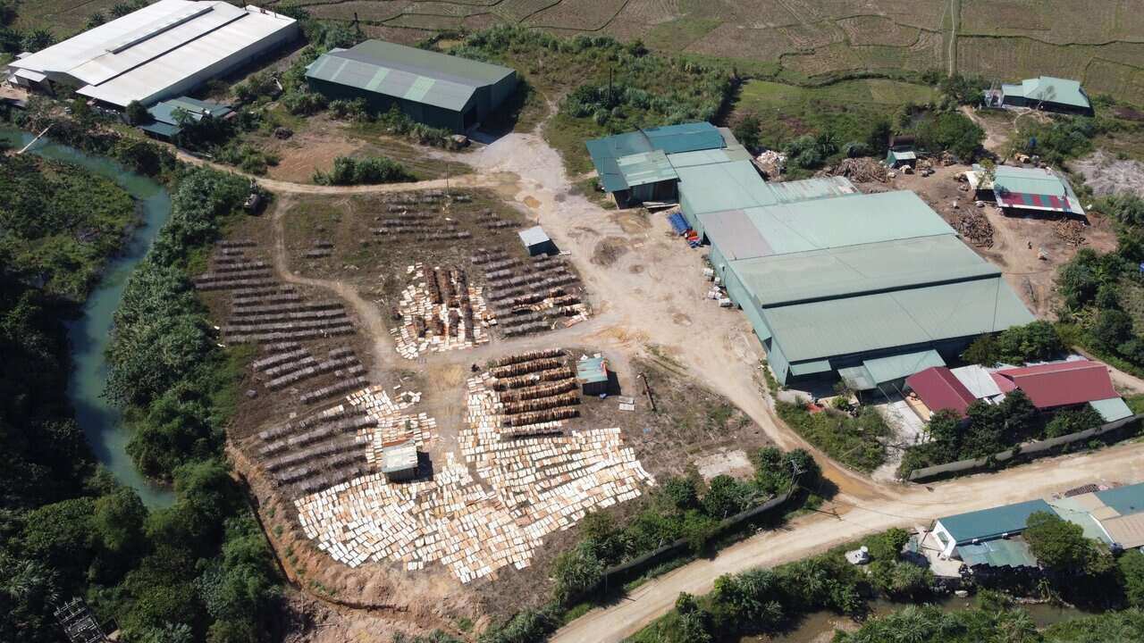 Toàn cảnh xưởng gỗ sản xuất ván ép của Công ty Vinh Vân. Ảnh: Minh Nguyễn