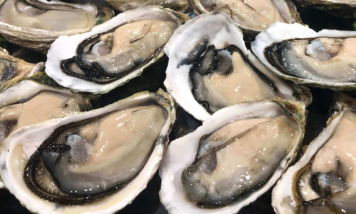 Hàu là loại thực phẩm có vỏ cung cấp nhiều kẽm tốt cho người viêm xoang mũi. Ảnh: Phạm My