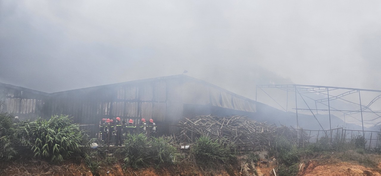 Hiện trường vụ cháy ở huyện Lạc Dương, tỉnh Lâm Đồng. Ảnh: Võ Tùng