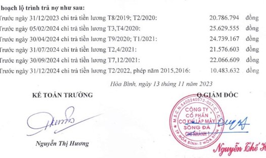 Lộ trình trả lương, tiền phép của anh Thắng do Công ty Cổ phần Cơ khí lắp máy Sông Đà - Chi nhánh 1 lập vào ngày 13.11.2023. Ảnh: NVCC