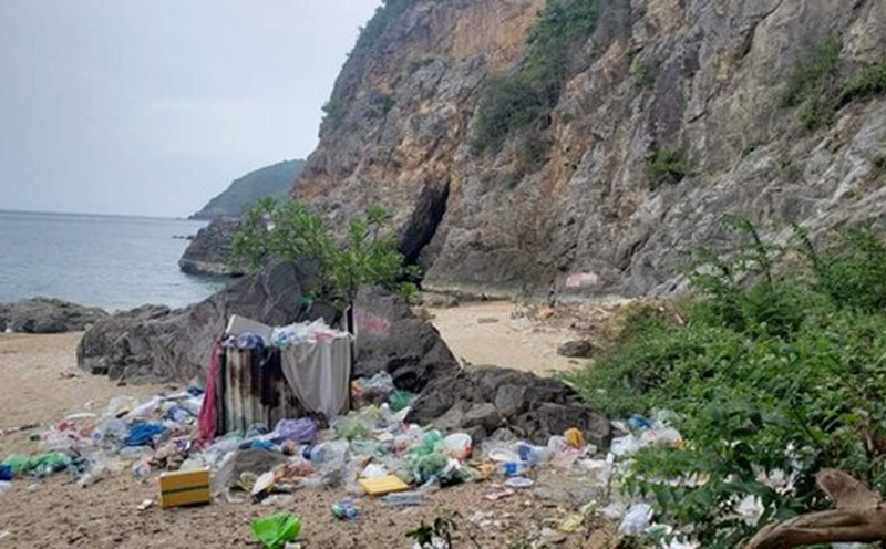 Plastic waste is littered by tourists on Son Tra peninsula and tourist beaches in Da Nang. Photo: Tuan Bui