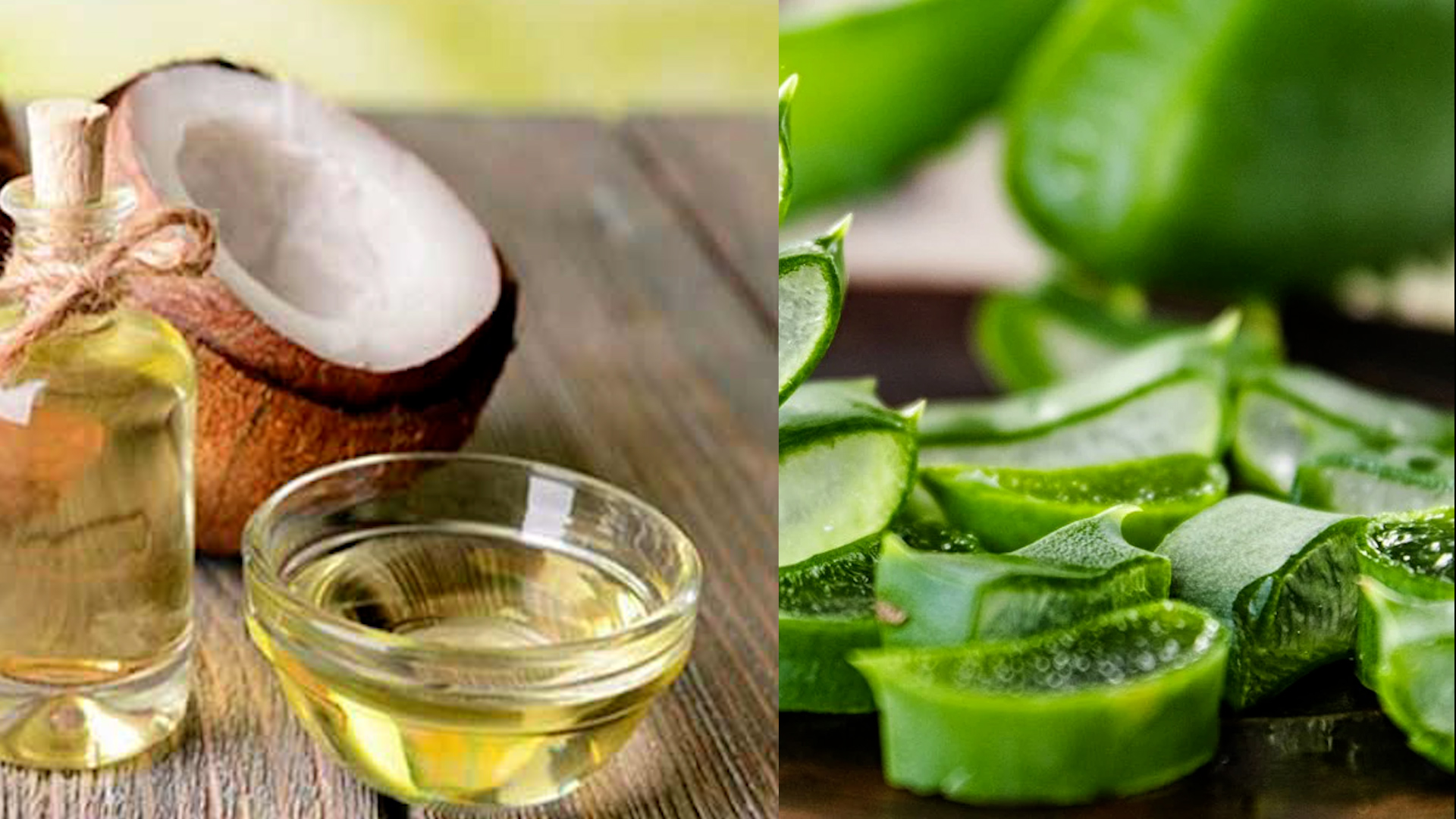 Dầu dừa hoặc nha đam có công dụng giảm rụng tóc. Ảnh ghép: Nguyễn Ly 