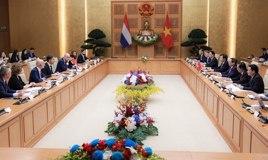 Thủ tướng Chính phủ Phạm Minh Chính hội đàm với Thủ tướng Hà Lan Mark Rutte. Ảnh: Hải Nguyễn