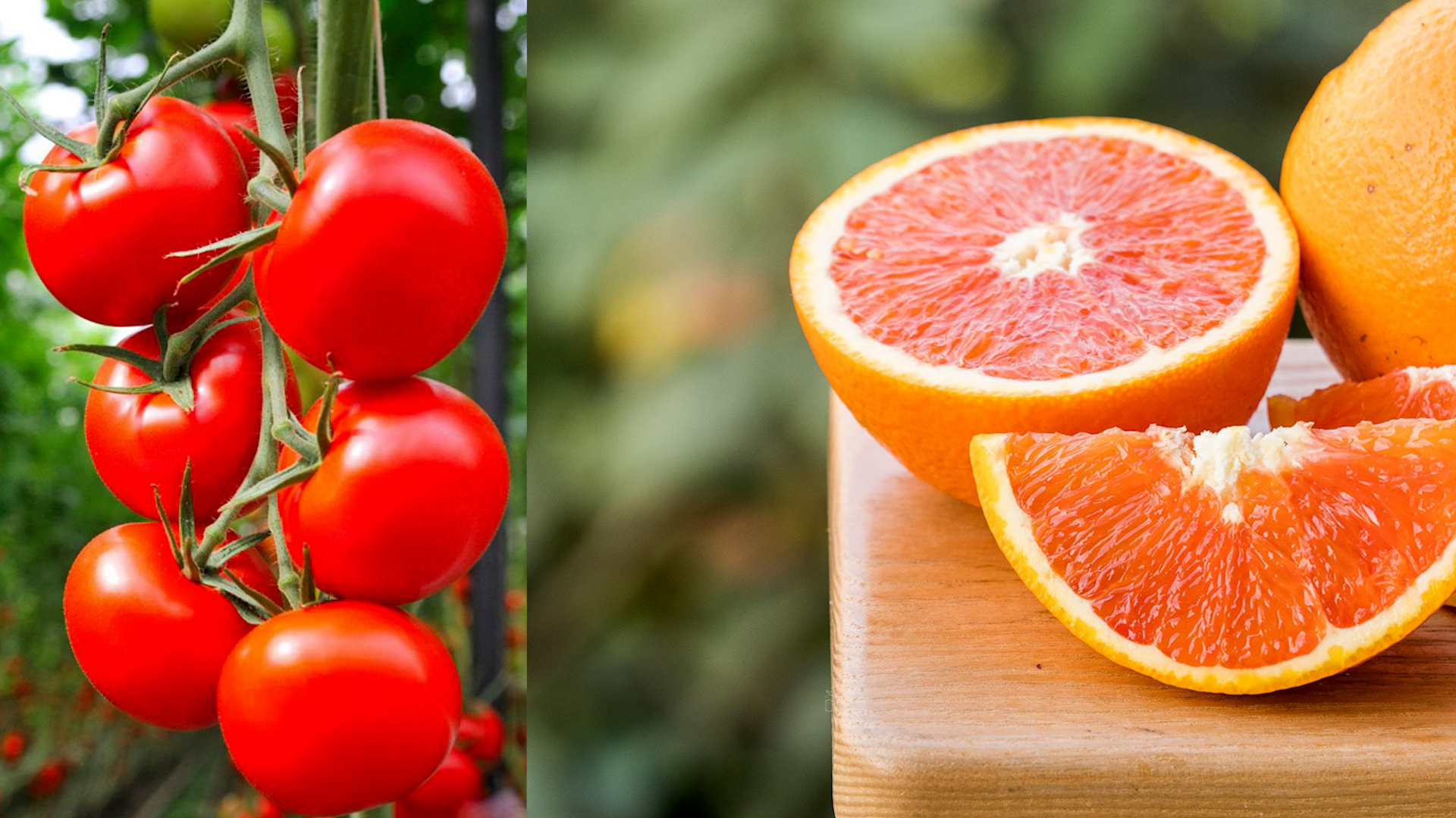 Cam và cà chua có chất chống nắng tốt. Ảnh ghép: Nguyễn Ly 