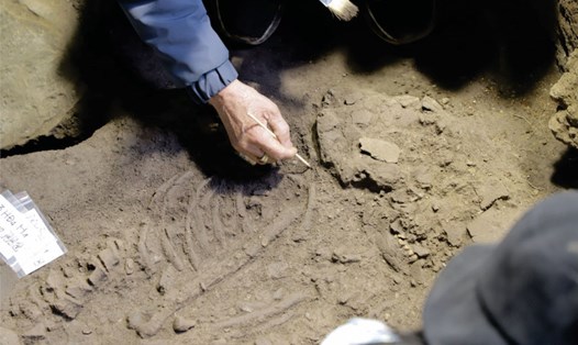 Di cốt người cách ngày nay khoảng 10.000 năm được tìm thấy ở tỉnh Hà Nam. Ảnh: Viện Khảo cổ học