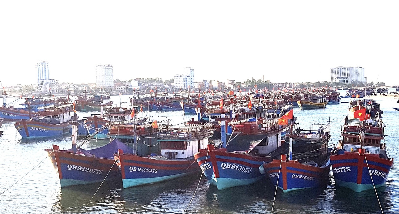 Quảng Bình hiện là địa phương có số lượng tàu cá khai thác thủy sản trên biển lớn. Ảnh: Lê Phi Long