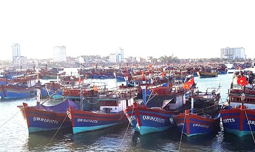 Quảng Bình hiện là địa phương có số lượng tàu cá khai thác thủy sản trên biển lớn. Ảnh: Lê Phi Long