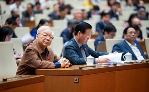 Tổng Bí thư Nguyễn Phú Trọng dự phiên thảo luận của Quốc hội