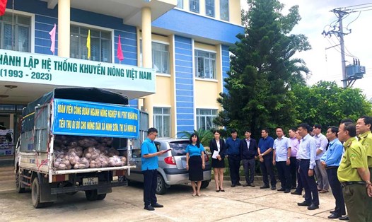 Công đoàn Ngành Nông nghiệp Khánh Hòa phát động tiêu thụ bí đỏ cho nông dân. Ảnh: Phương Linh