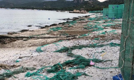 Hàng tấn rác lưới mùng đen kịt vây kín gây ô nhiễm biển Cam Ranh. Ảnh: Hữu Long