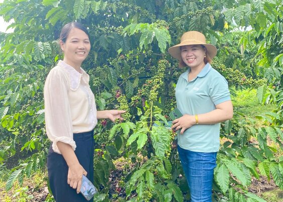 Nhờ được đào tạo nghề nên nhiều nông dân ở huyện Đắk Glong đã phát triển cây trồng vật nuôi có hiệu quả. Ảnh: Bảo Lâm