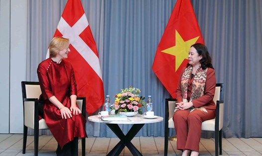 Phó Chủ tịch nước Võ Thị Ánh Xuân (phải) tiếp Chủ tịch Hội hữu nghị Đan Mạch - Việt Nam. Ảnh: TTXVN