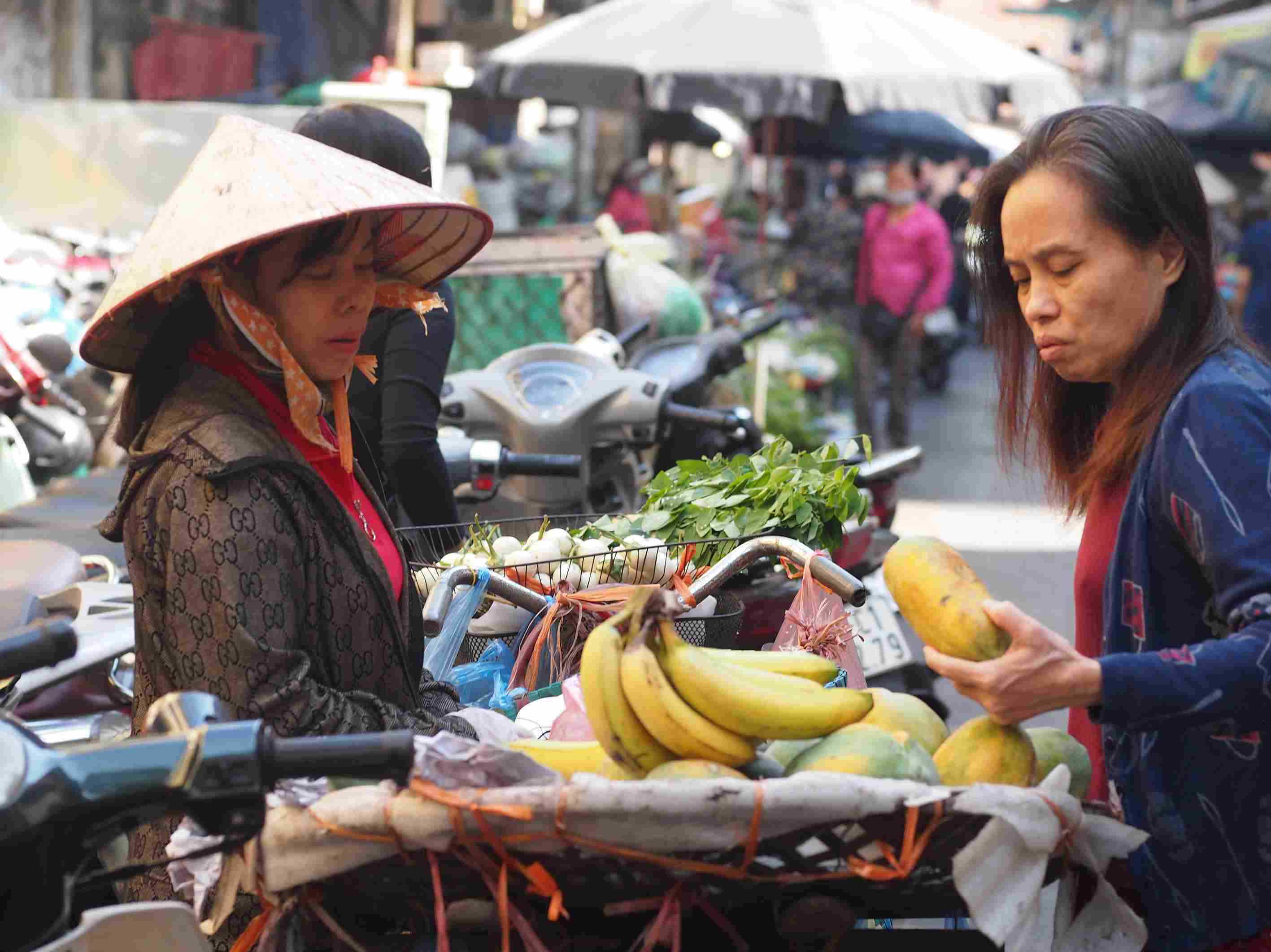 Bà Nguyễn Thị Hoa (TP Hà Nội) cho biết: “Xe chở hàng của tôi là qua quả của nhà trồng được, vì nhiều ăn không hết nên đem ra chợ bán kiếm thêm“.
