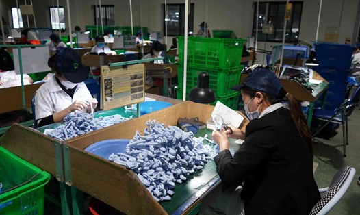 Nhiều doanh nghiệp trong khu công nghiệp ở Hải Phòng đang có nhu cầu tuyển dụng trong tháng 11. Ảnh minh hoạ: Hoàng Khôi