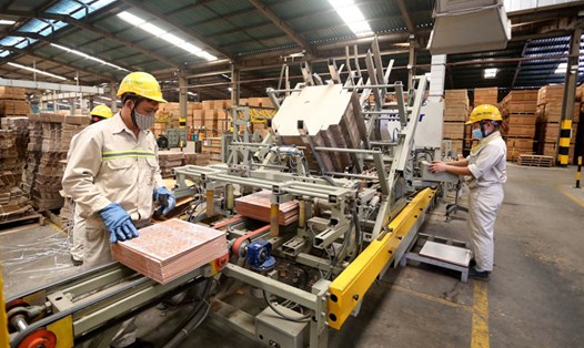 Người lao động làm việc tại Khu công nghiệp Bình Xuyên, tỉnh Vĩnh Phúc. Ảnh: Thế Hùng