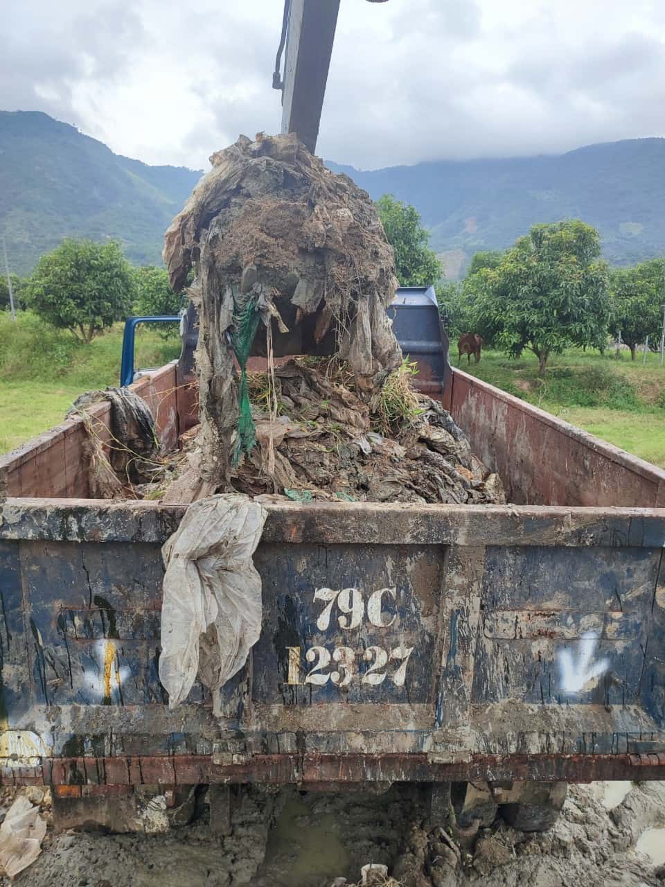 Chính quyền xã Suối Tiên đã yêu cầu Công ty Thủy sản Bạc Liêu dọn dẹp toàn bộ rác thải rắn. Ảnh: Hữu Long