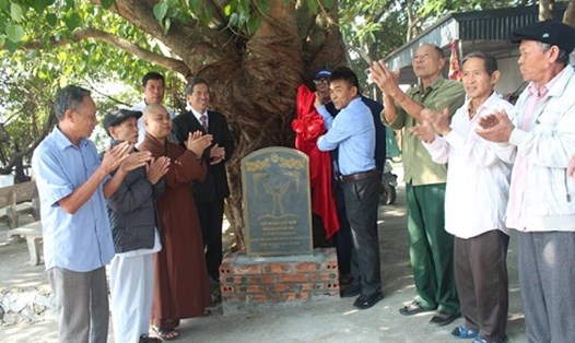  Đình làng Yên Chỉ, xã Thượng Hoà, huyện Nho Quan, tỉnh Ninh Bình là ngôi đình duy nhất có 4 cây cổ thụ được công nhận là Cây Di sản Việt Nam. Ảnh: Diệu Anh