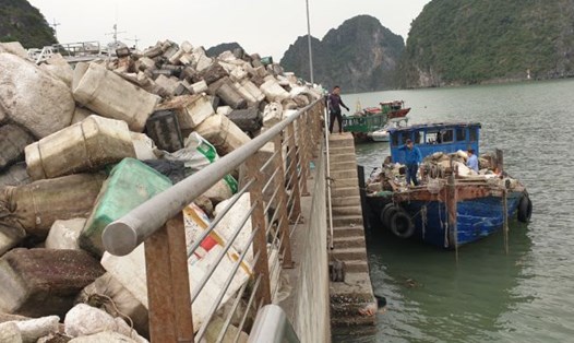 Thu gom rác phao xốp trôi nổi trên vịnh Hạ Long đưa về bờ tháng 4.2023.  Ảnh: Nguyễn Hùng