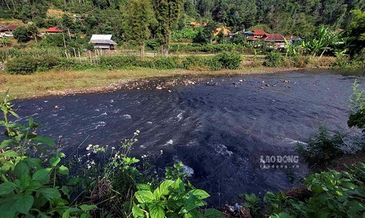 Các cơ sở chế biến dong riềng tại TP Điện Biên Phủ tiếp tục gây ô nhiễm môi trường, bức tử sông Nậm Rốm. Ảnh: PV