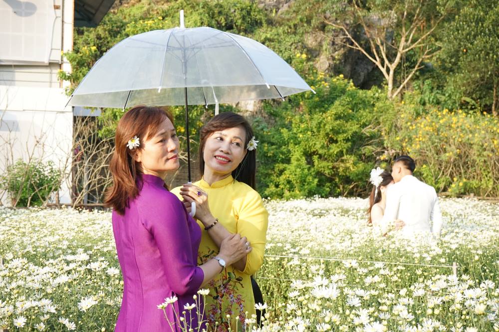 Đến vườn hoa không chỉ các bạn trẻ mà cả những phụ nữ trung niên và trẻ nhỏ. Anh Cao Thanh Nam – Giám đốc Chi nhánh Khu du lịch động Tiên Sơn cho biết, để có vườn hoa trên, từ nhiều tháng trước anh đã phải thuê người tiến hành làm đất, mua giống, trồng và chăm sóc cẩn thận. Ảnh: Quách Du