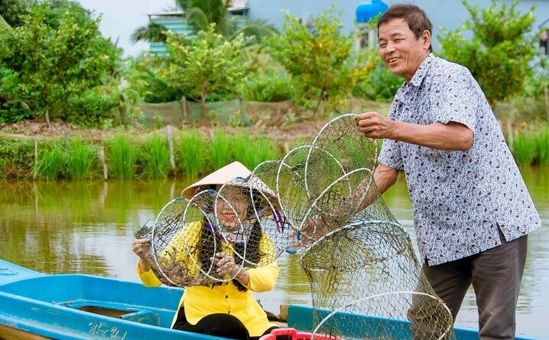 Khảo sát thực tế địa điểm du lịch sinh thái tại Cà Mau. Ảnh: Nhật Hồ