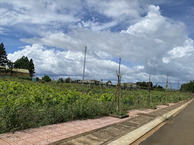 Dự án khu dân cư Chư HDrông, phường Chi Lăng bỏ hoang, lãng phí đầu tư. Ảnh: Thanh Tuấn 