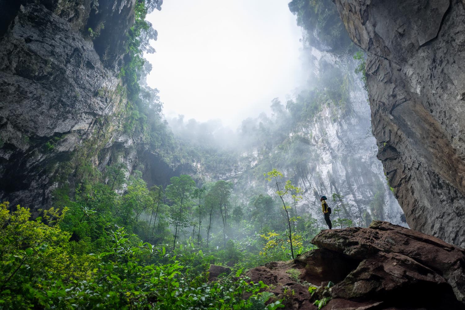 Hình ảnh Hố Sụt 2 và khu vườn địa đàng tươi tốt ngay bên dưới miệng hố. / Images of Doline 2 and Edam’s Garden, the lush paradise garden located directly below the open of the doline.