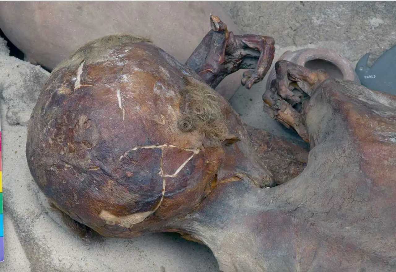 Xác ướp nam thanh niên tự nhiên, khoảng năm 3400 trước Công nguyên. Ảnh: Bảo tàng Anh
