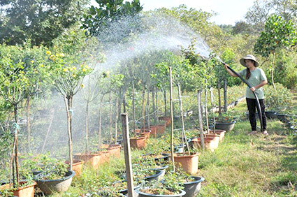 Nhiều người dân trên địa bàn tỉnh Đắk Nông được vay vốn ưu đãi để thoát nghèo bền vững. Ảnh: Văn Tâm