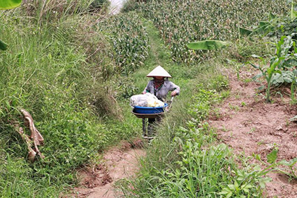Không để tình trạng người dân tái nghèo