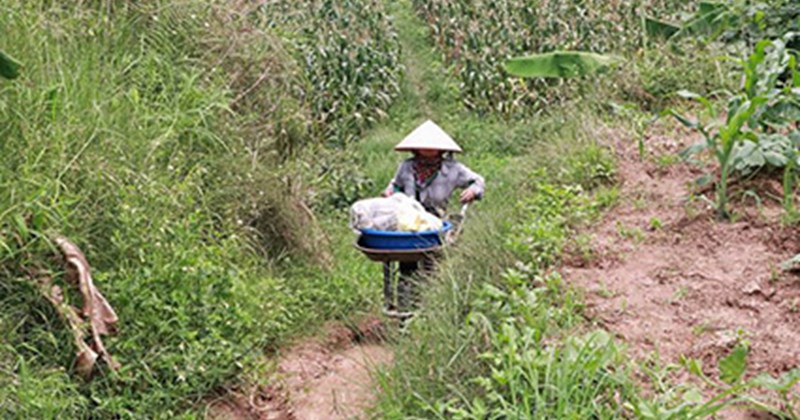 Không để tình trạng người dân tái nghèo