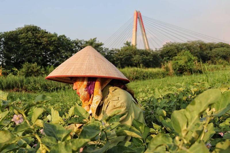 Nhiều địa phương trên cả nước đã có chính sách, chương trình giảm nghèo toàn diện, triển khai thực hiện Chương trình mục tiêu Quốc gia về giảm nghèo bền vững giai đoạn 2021 - 2025. Ảnh: Thu Giang