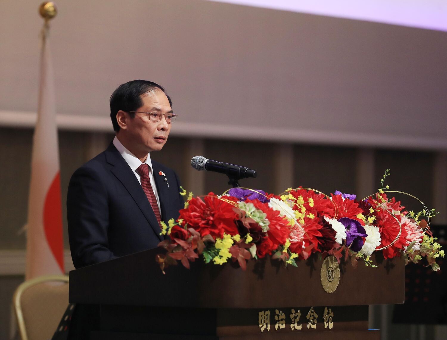 Ông Bùi Thanh Sơn, Bộ trưởng Ngoại giao Việt Nam phát biểu tại lễ kỷ niệm. Ảnh: TTXVN