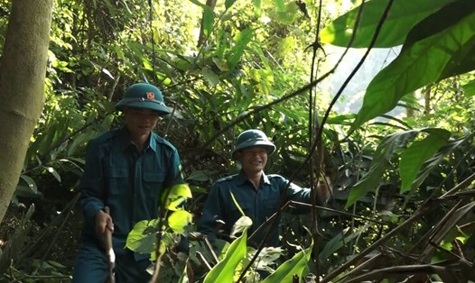 Các tổ, đội quản lý và bảo vệ rừng tăng cường đi kiểm tra các diện tích rừng được giao quản lý. Ảnh: Quang Thuỵ

