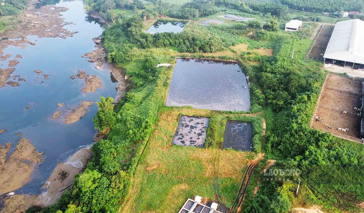 Theo ghi nhận của PV Báo Lao Động thời điểm sáng ngày 1.11, tại khu vực xử lý nước thải trại bò của Công ty Hồ Toản phát hiện ít nhất 3 vị trí xả thải ra lòng sông Chảy.