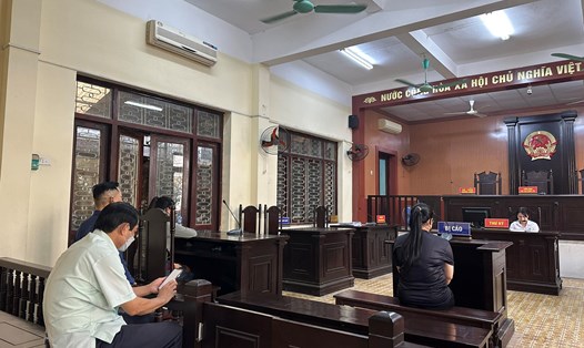 Phiên toà xét xử nữ bảo mẫu Chu Uyển Vân vô ý làm chết bé trai 7 tháng tuổi. Ảnh: Quang Việt