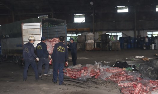 Tiêu hủy hơn 3 tấn thịt lợn bốc mùi ôi thiu ở Thái Bình. Ảnh: Cục QLTT tỉnh Thái Bình