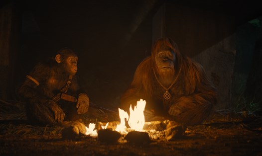 Hình ảnh trong phim "Hành tinh khỉ" phiên bản mới. Ảnh: NSX.