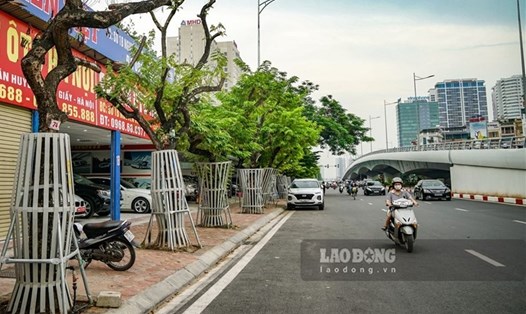 Hàng cây sưa đỏ trên đường Nguyễn Văn Huyên (Cầu Giấy, Hà Nội) phải bọc lồng sắt và lắp camera giám sát để bảo vệ. Ảnh: Tạ Quang
