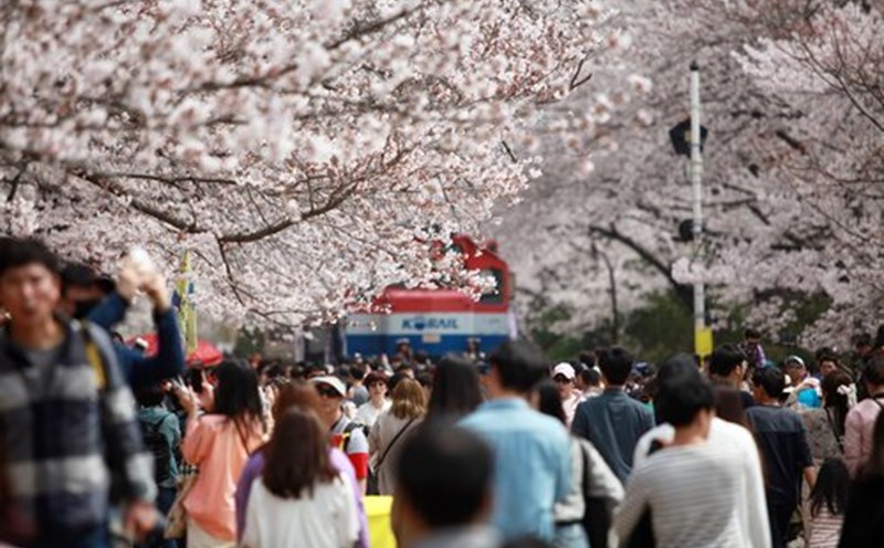 Du lịch Hàn Quốc ghi điểm nhờ 100 lễ hội độc đáo được tổ chức trong năm 2023. Ảnh: KTO