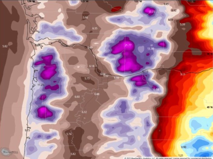 Dự báo lượng mưa đến giữa tuần tới quanh biên giới Washington và Oregon. Ảnh: Weatherbell