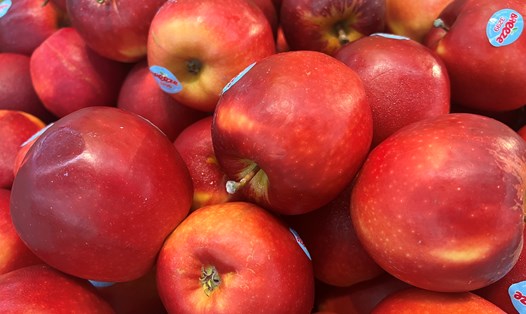 Táo là loại trái cây hỗ trợ cải thiện tình trạng táo bón. Ảnh: Kiều Vũ