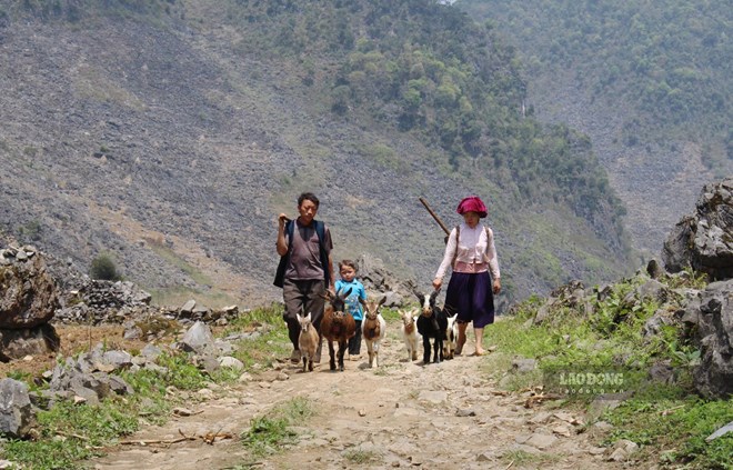 Đồng bào dân tộc Mông chiếm đa số tại 4 huyện vùng cao núi đá. Ảnh: Nguyễn Tùng
