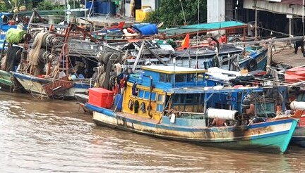 Tỉnh Bạc  Liêu đang tính toán chuyển đổi nghề đối với ngư dân khai thác thủy sản gần bờ. Ảnh: Nhật Hồ