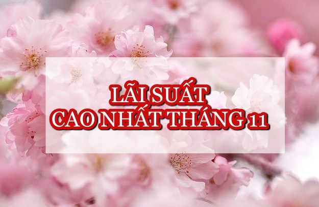 Lãi suất ngân hàng hôm nay 16.11: Trọn bộ danh sách tốp lãi suất cao nhất