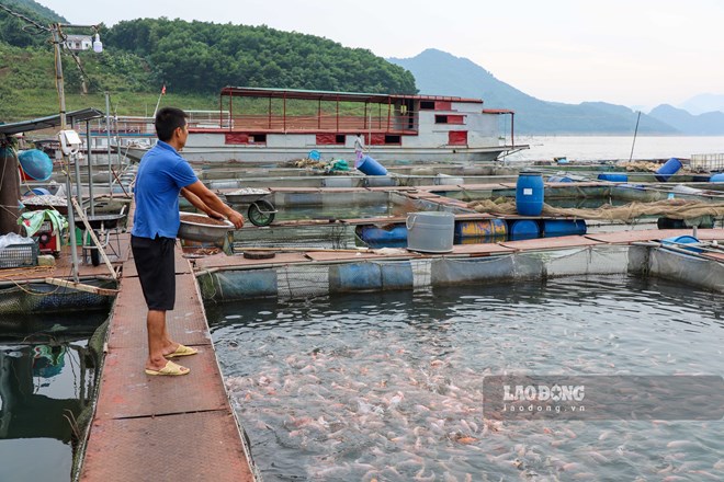 Thoát nghèo nhờ con nước Đà Giang