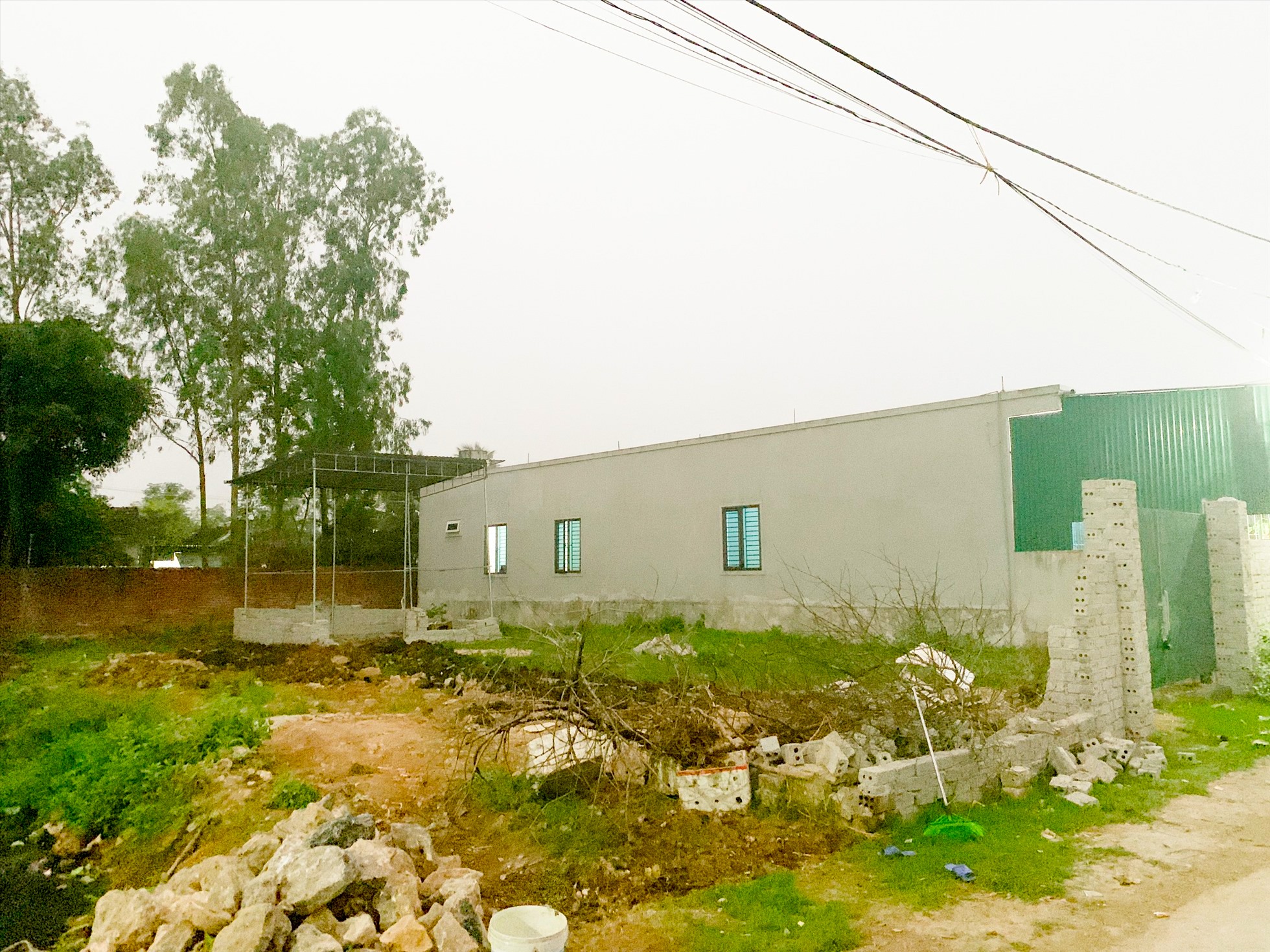 Ảnh minh hoạ: Quang Đại.