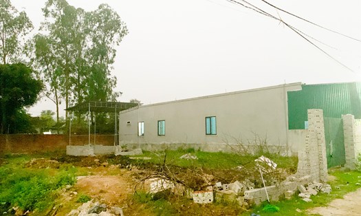 Ảnh minh hoạ: Quang Đại.