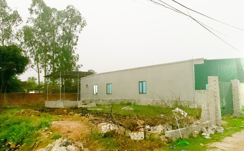 Ảnh minh hoạ: Quang Đại.